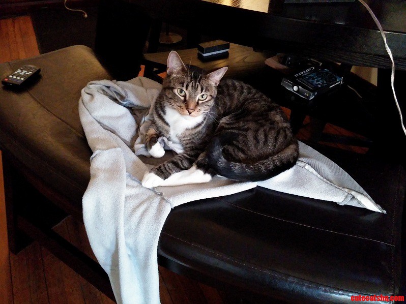Well... I Guess I Wont Be Wearing That Hoodie Today....
