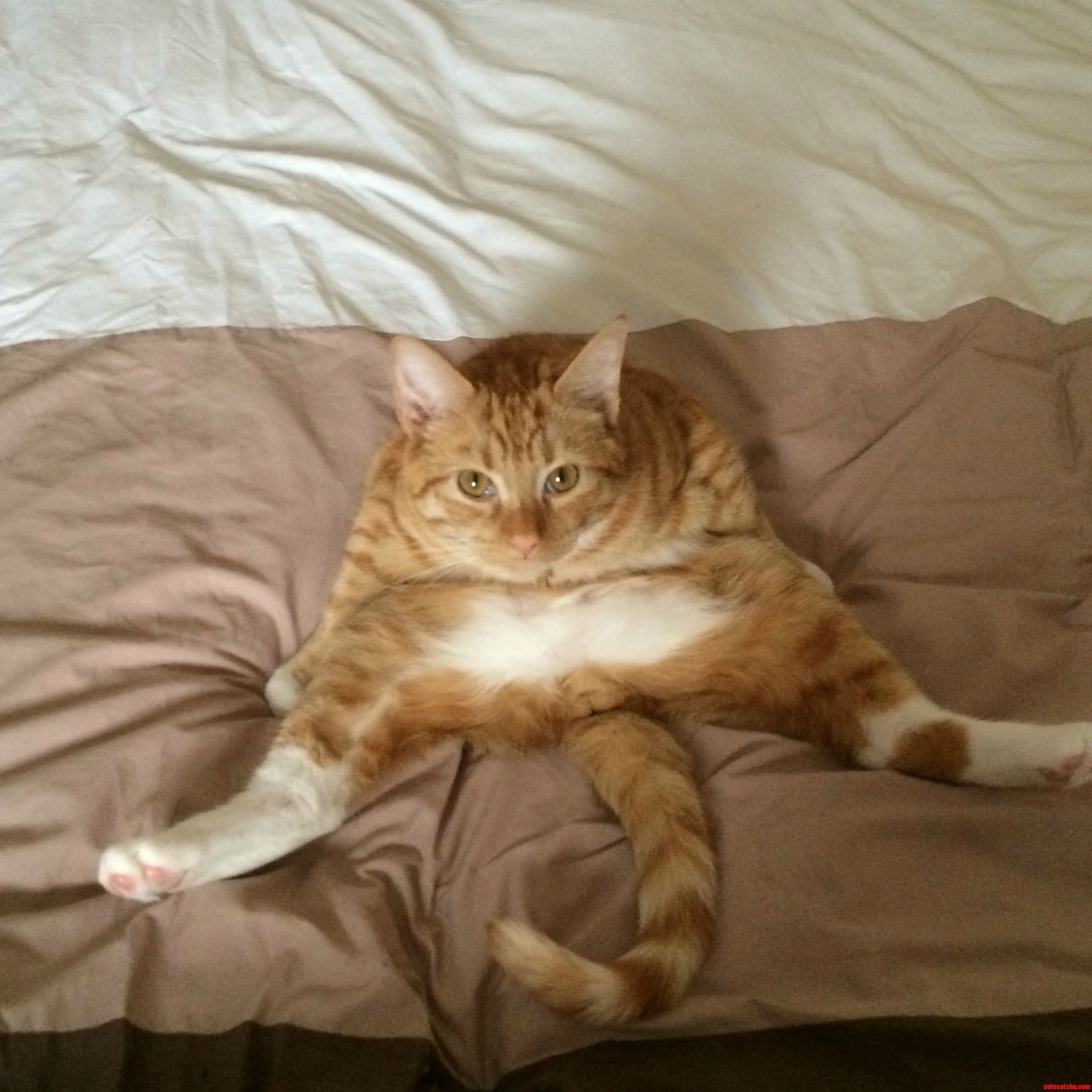 What Are You Lookin at