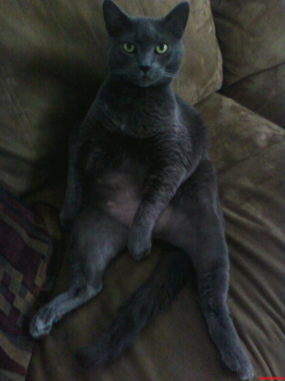 What Are You Looking at