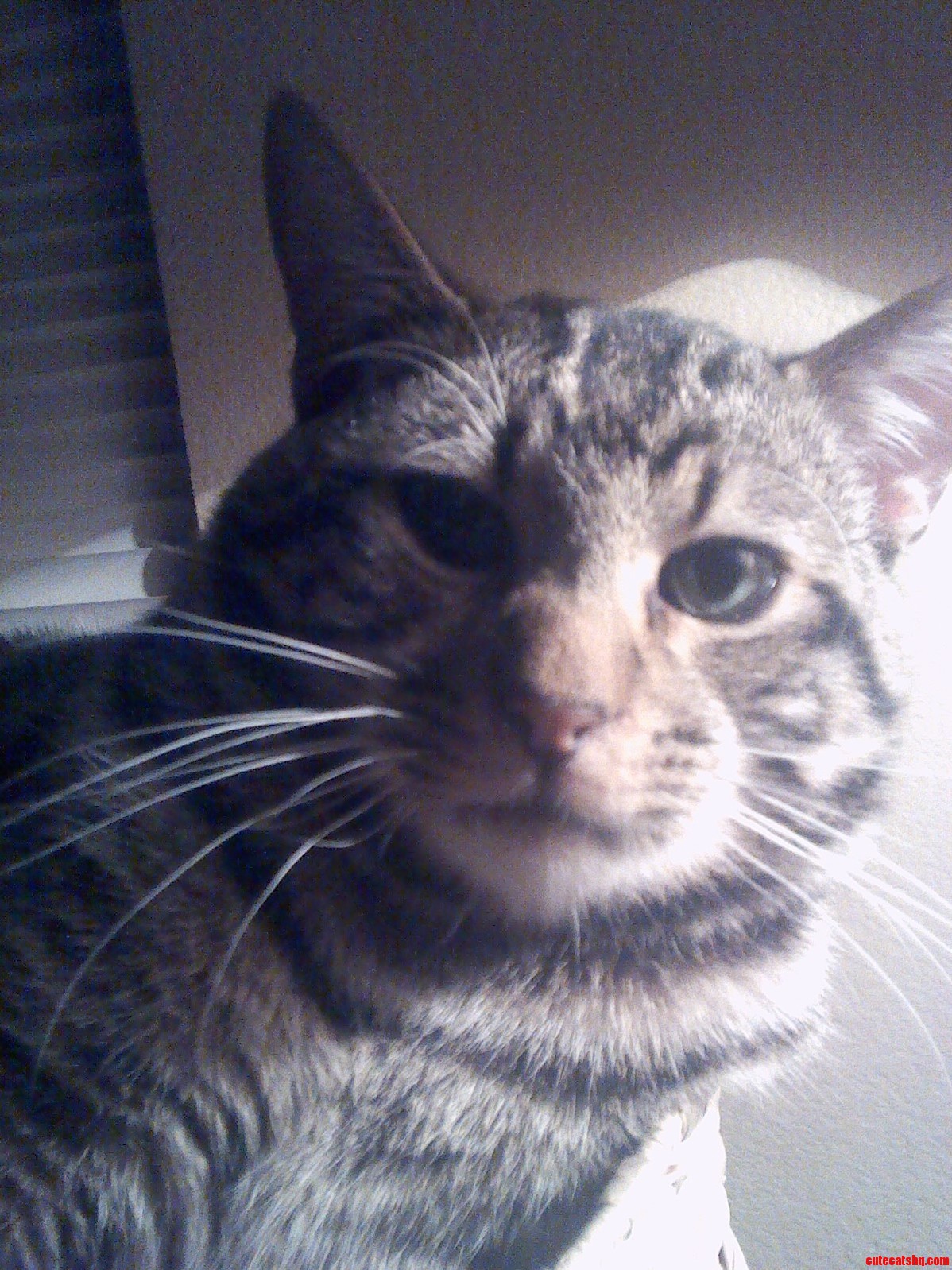 What Are You Looking at