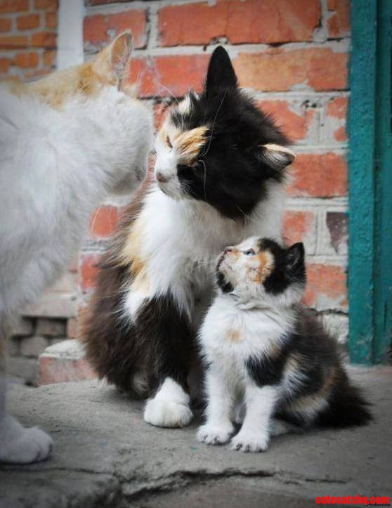 What Do You Mean This Kid Is Mine He Looks Nothing Like Me