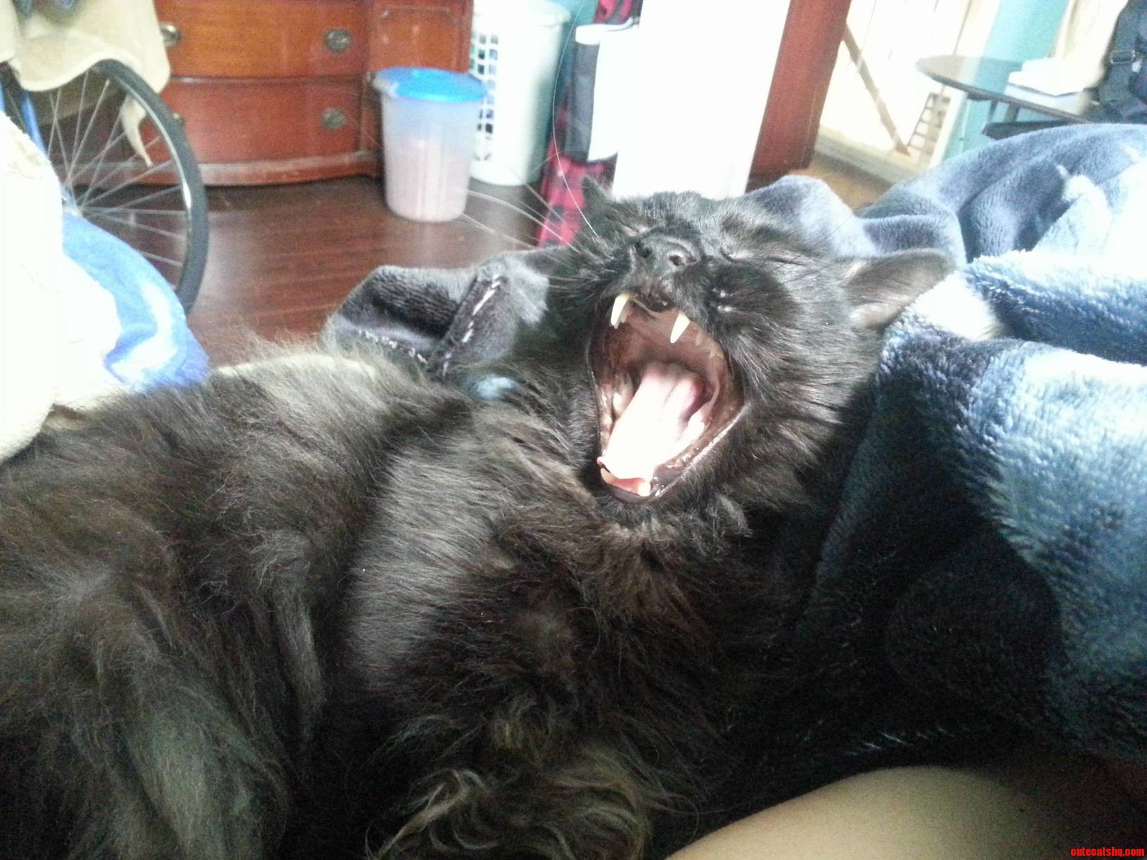 What I Wake Up to Every Morning