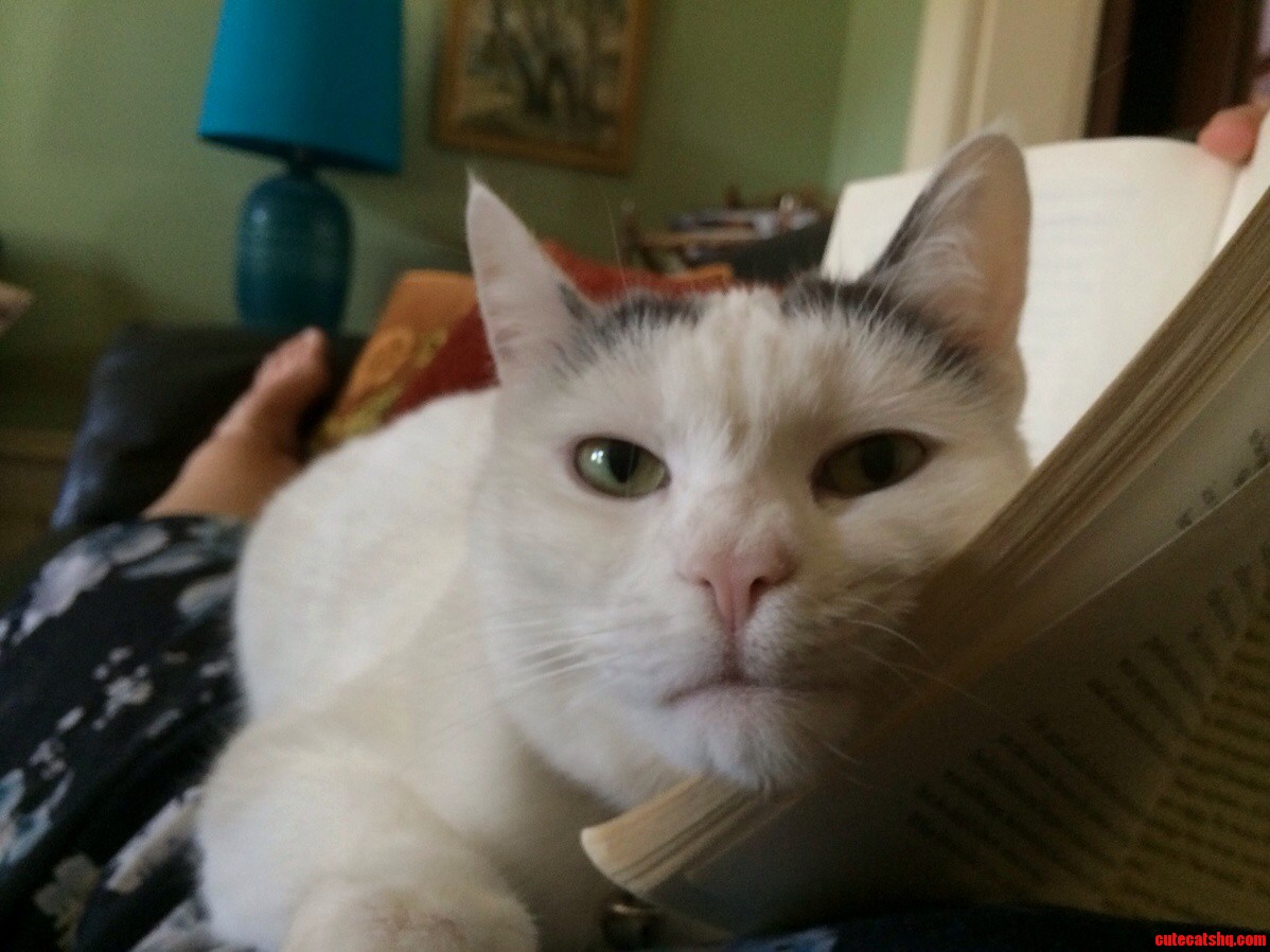 Whatcha Reading