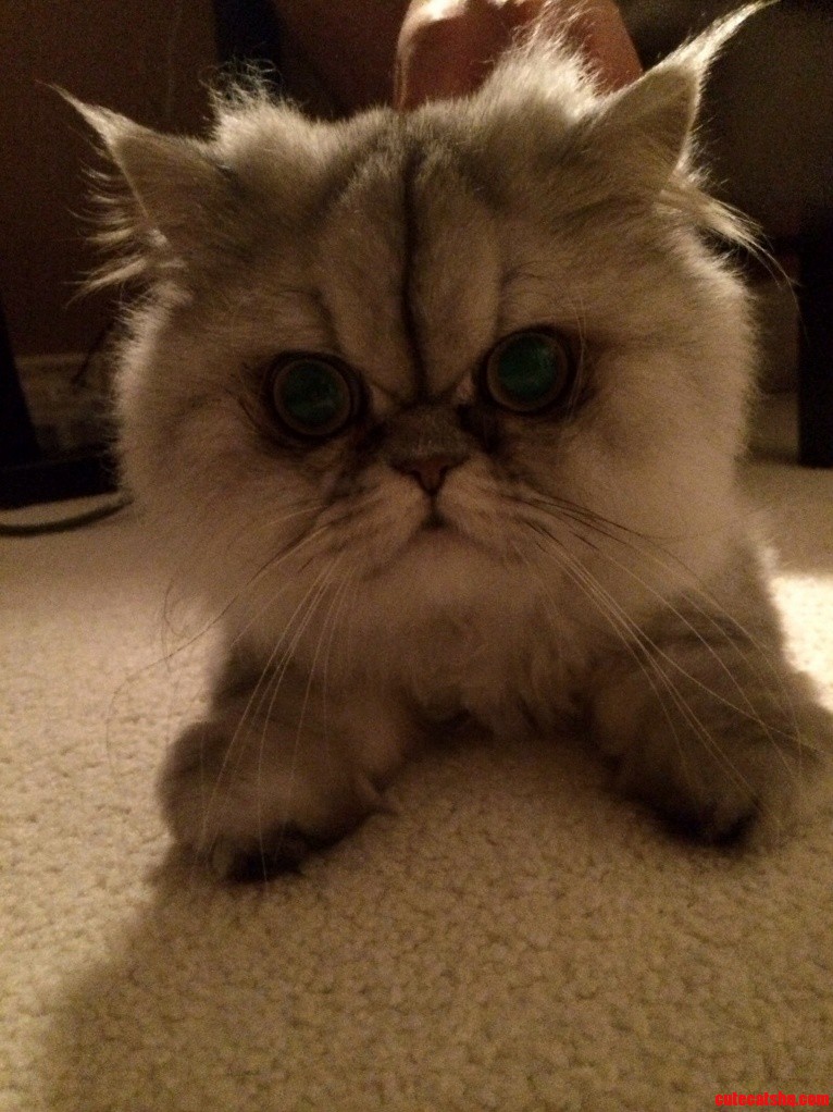 Whats Up Cutie