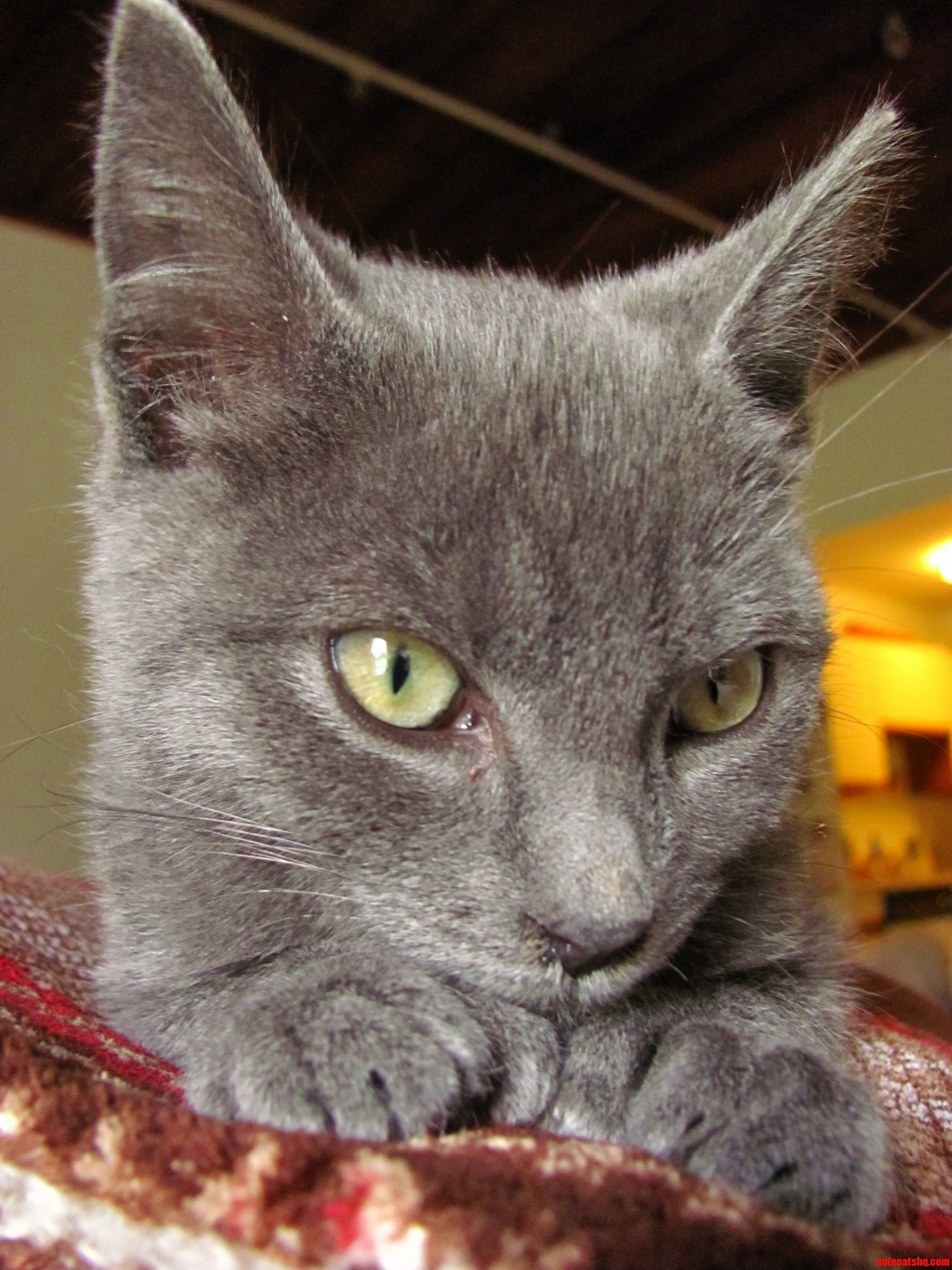 When He Was Just a Wee Little Lad