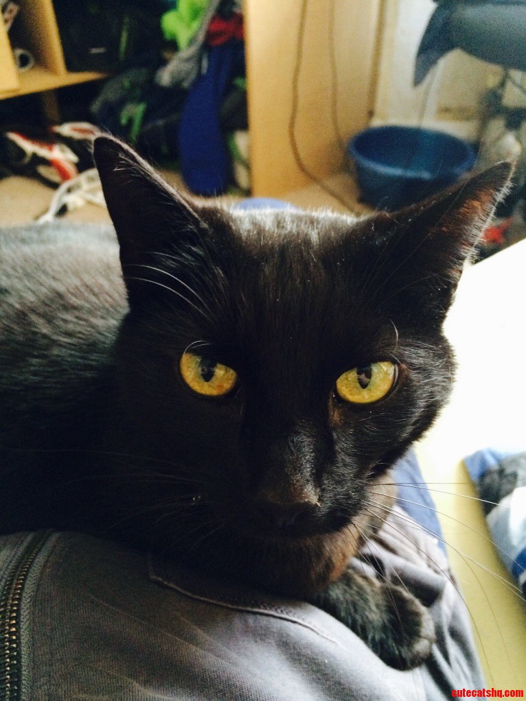 When You Stop Stroking He Pulls an Evil Face D
