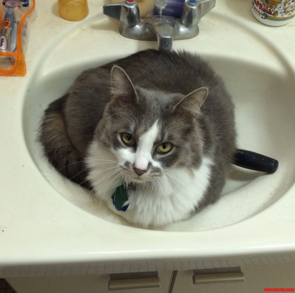 Why It Takes Longer to Get Ready in the Morning.