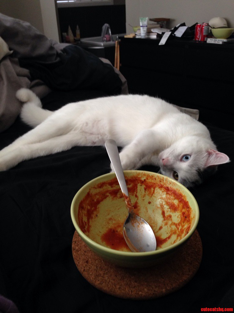 Whyyyy Did I Eat So Much