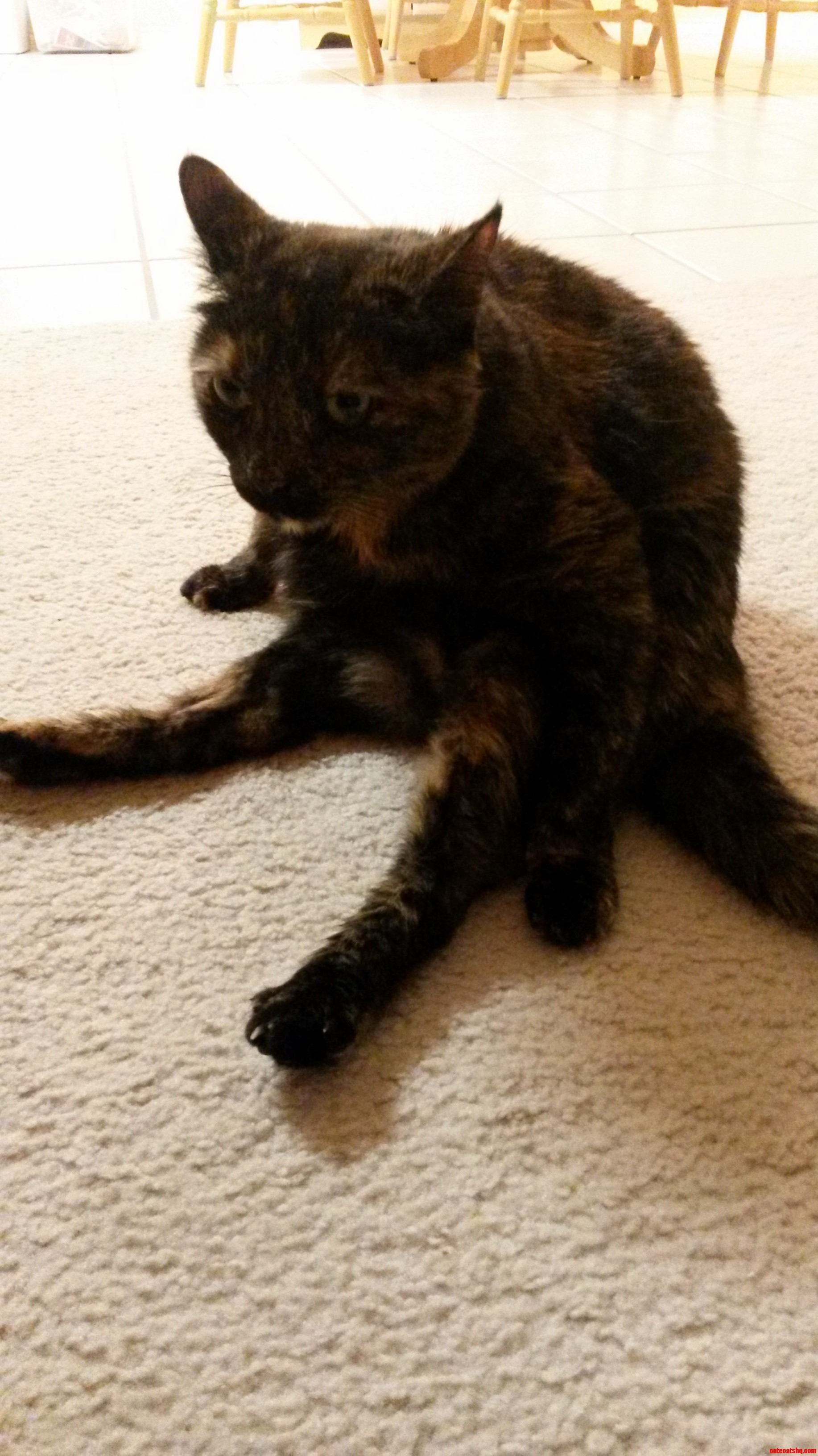 Winnie Isnt Very Good at Being Ladylike