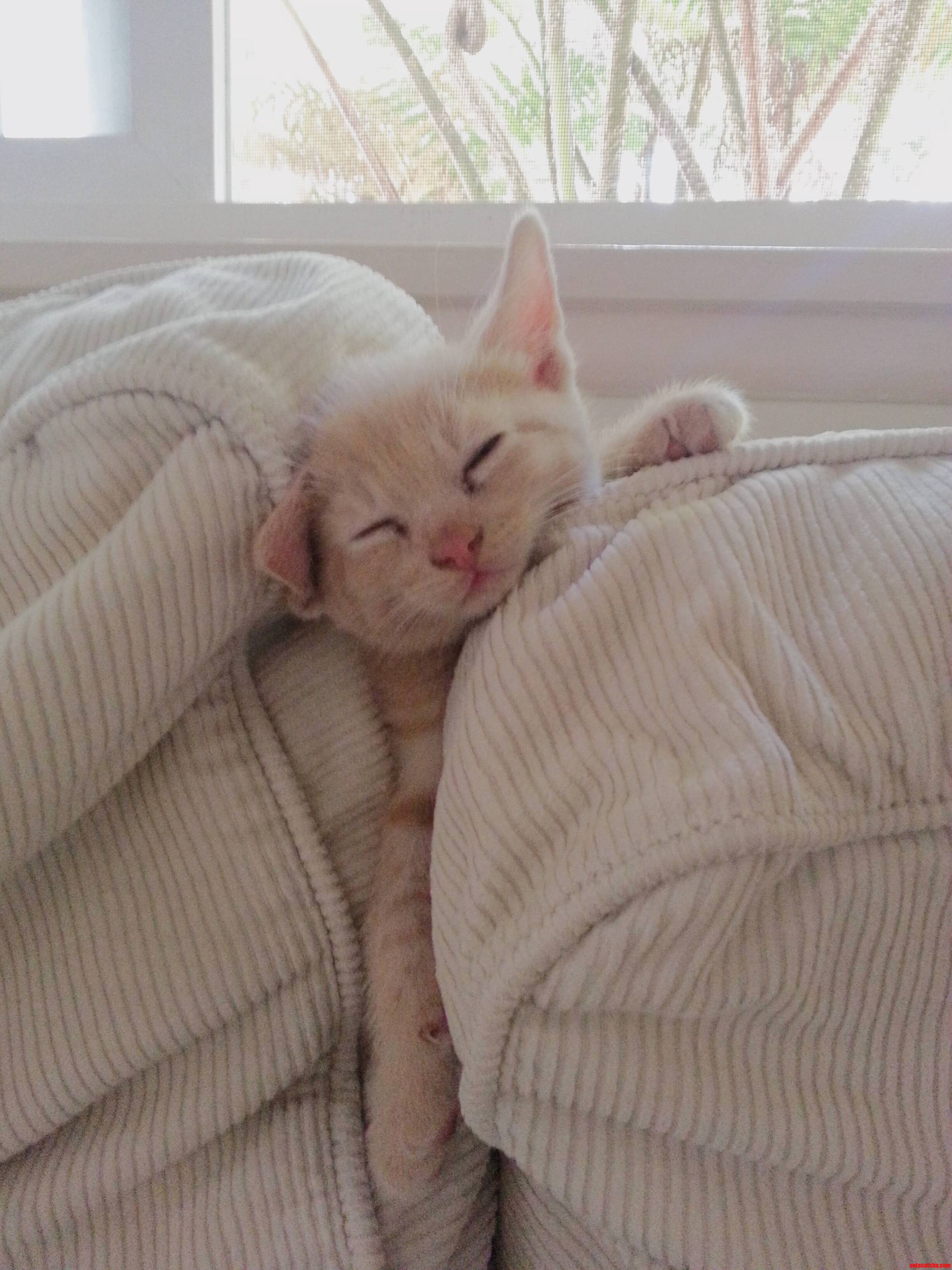 Wish I Could Sleep Like This.