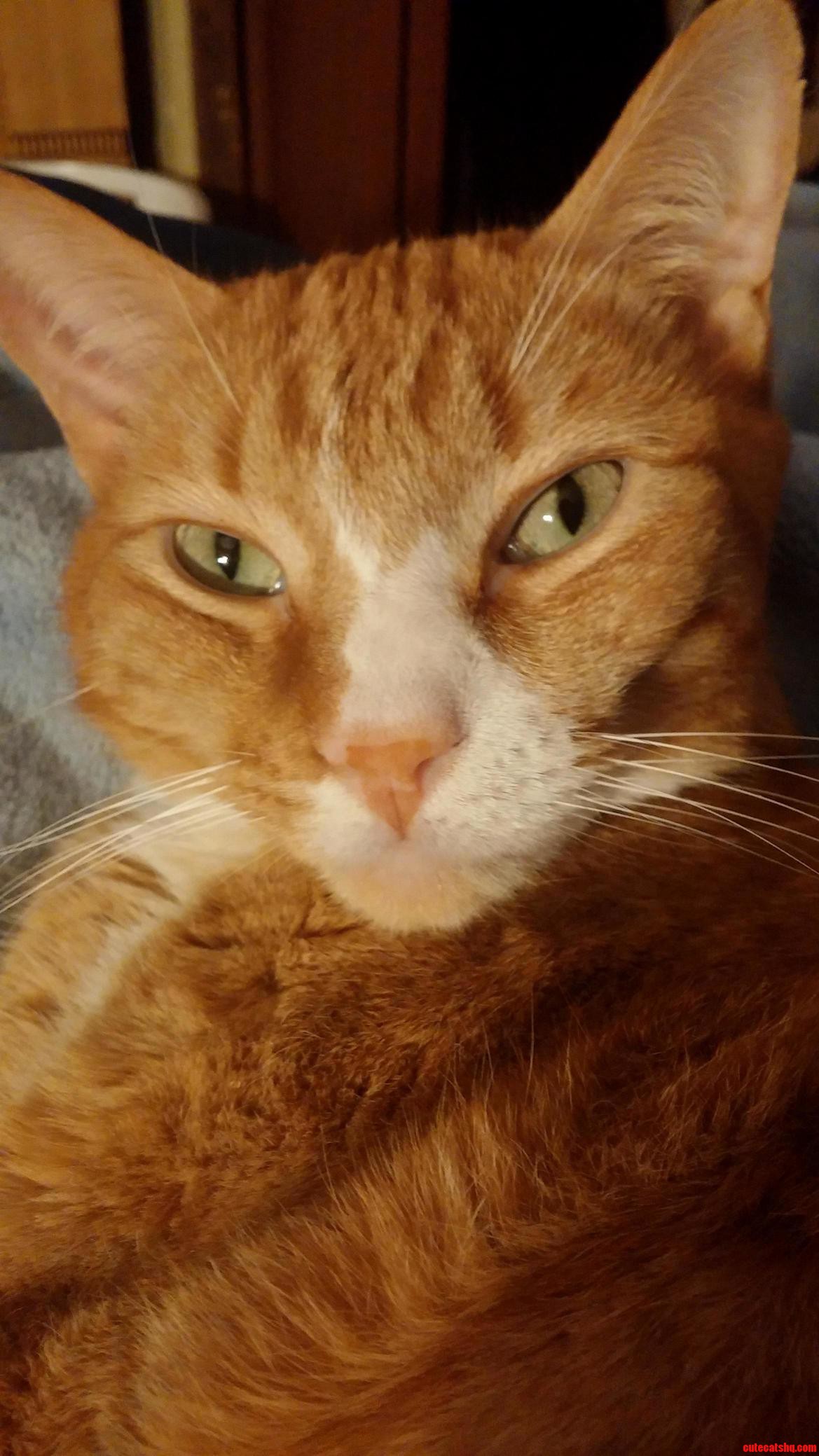 Woke Him Up from His Nap. His Eyes Do Look Beautiful Though.