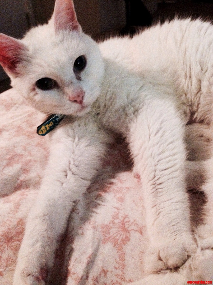 World Meet Willa.