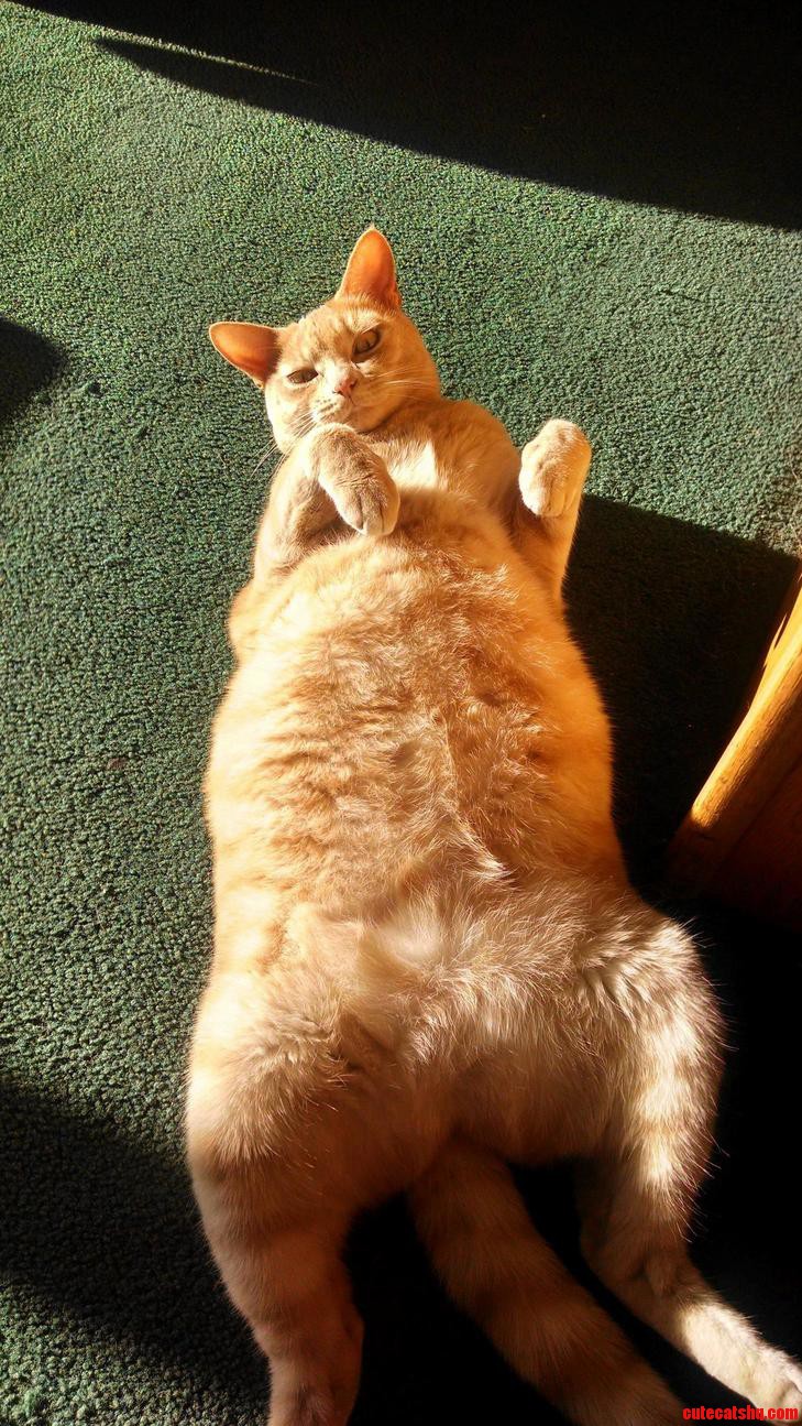 Yoda Has No Shame