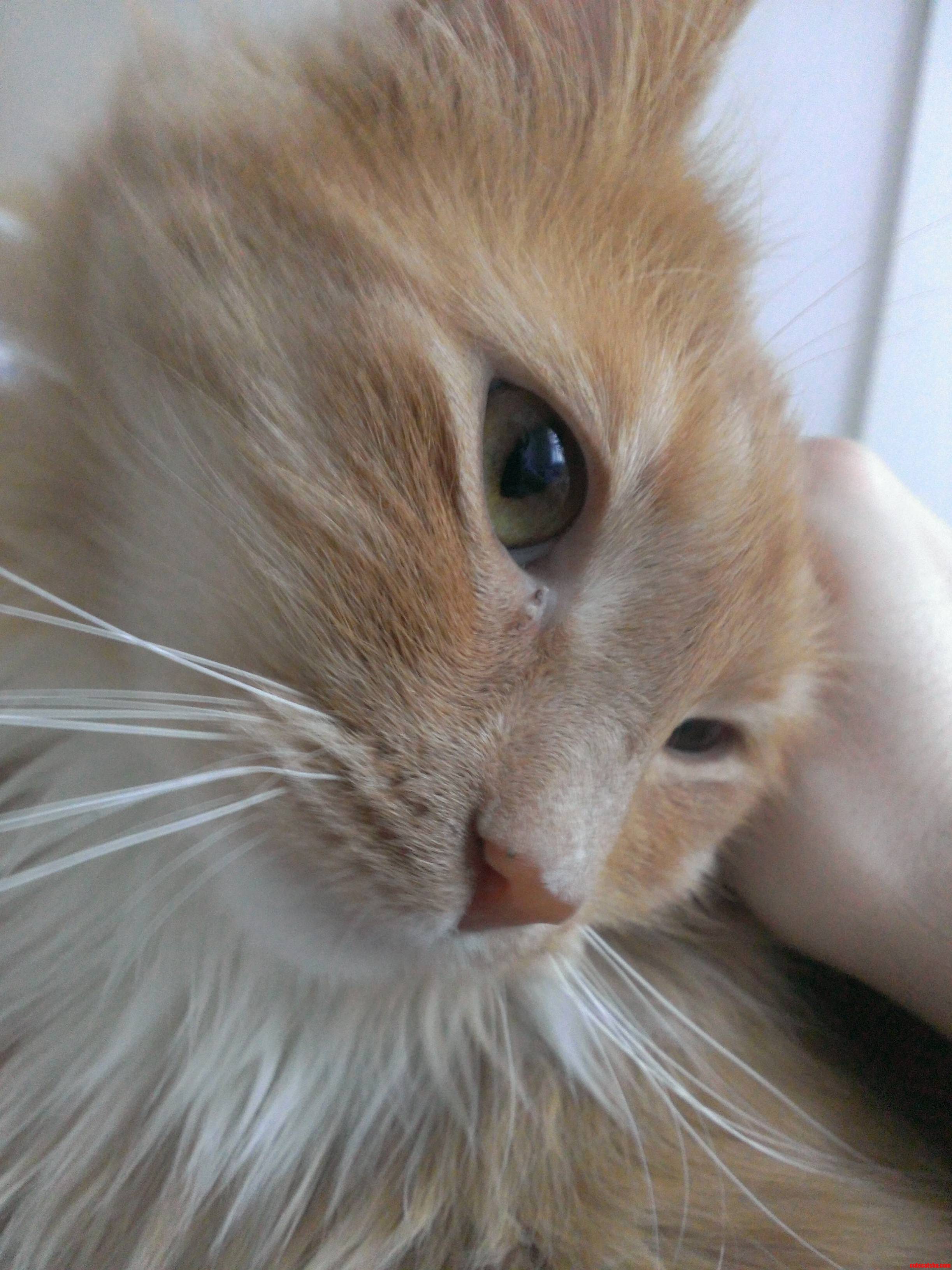 You Just Want Cuddles