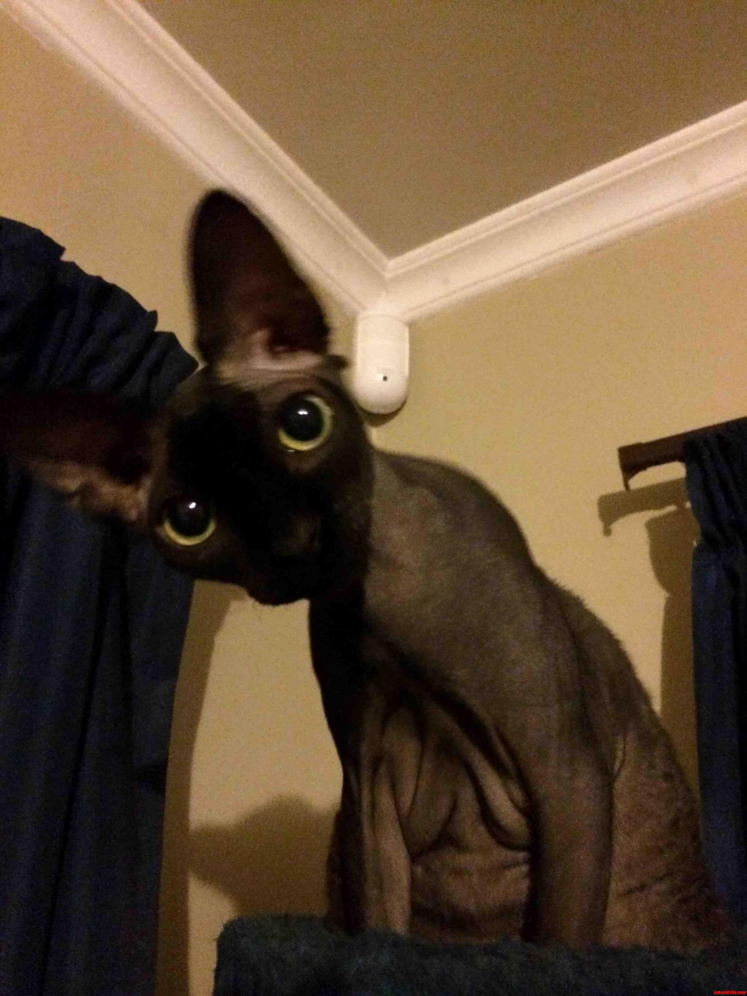 You Looking at Me