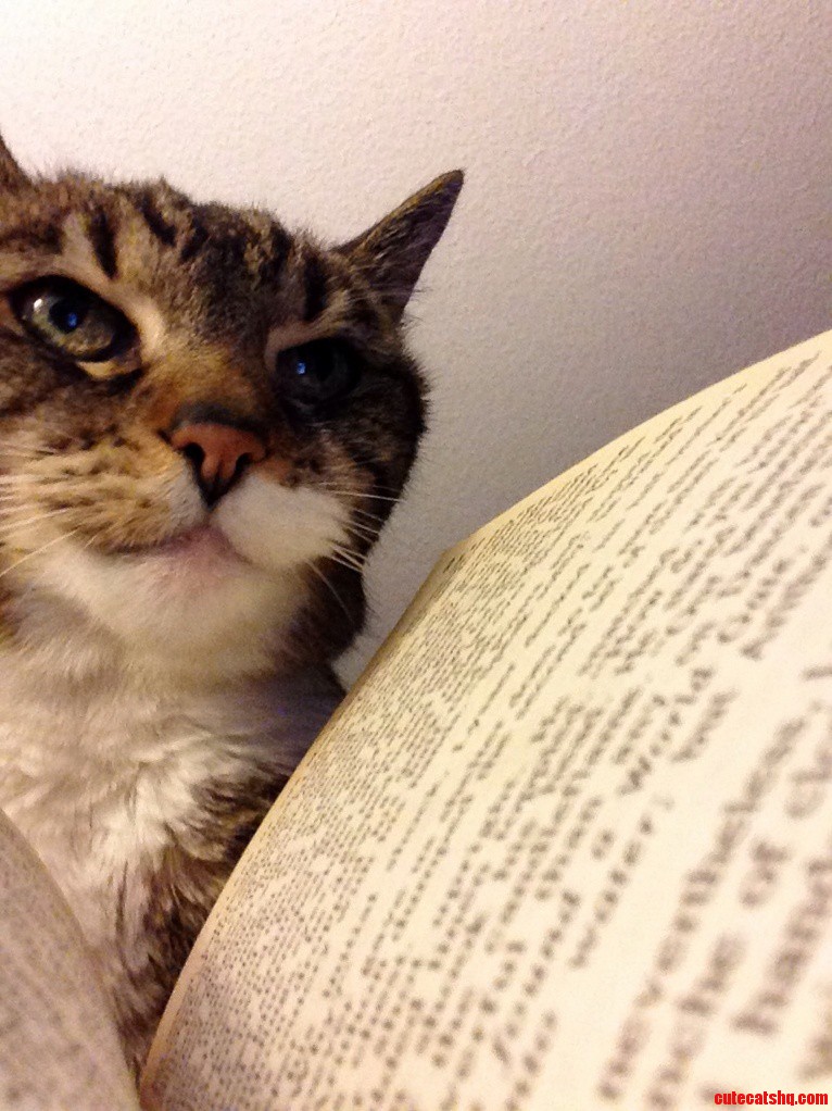 You Should Put the Book Down. Now.