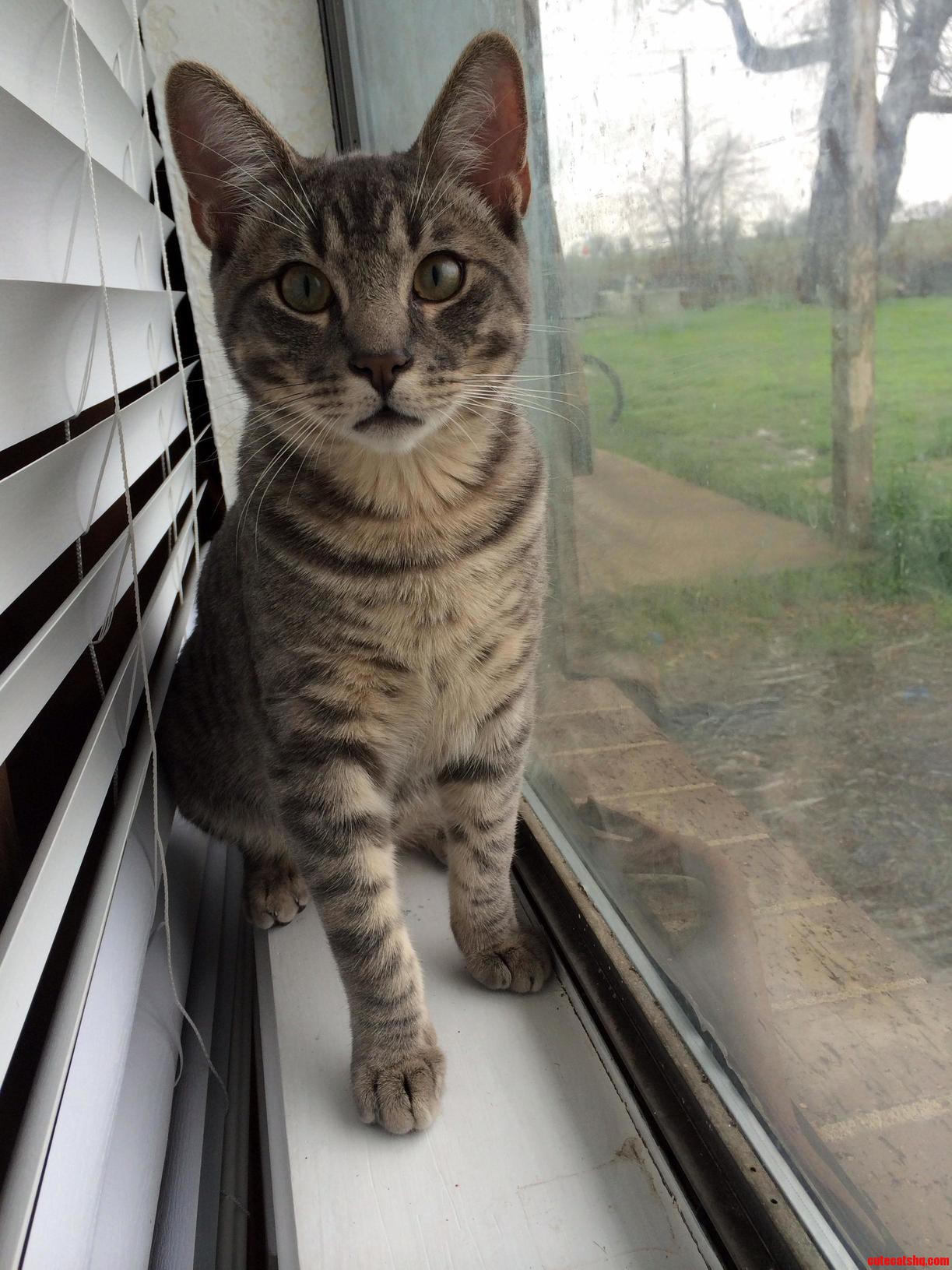 Zeppelins Favorite Spot