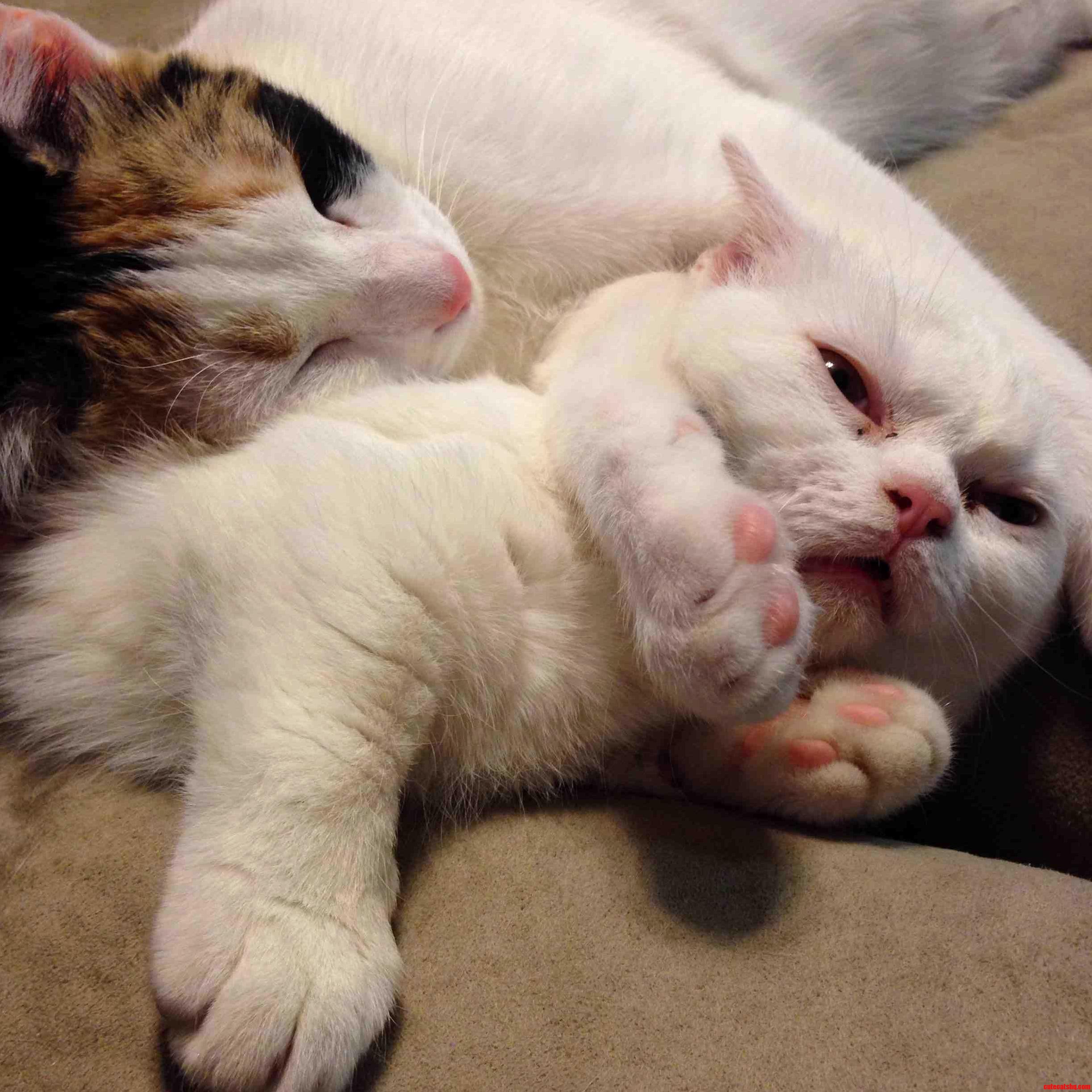 Ziggy and China Have an Interesting Relationship