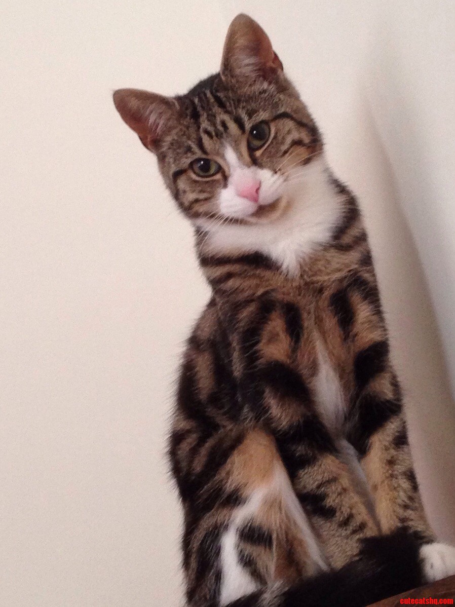 9 Months Old and Growing Into a Handsome Monster