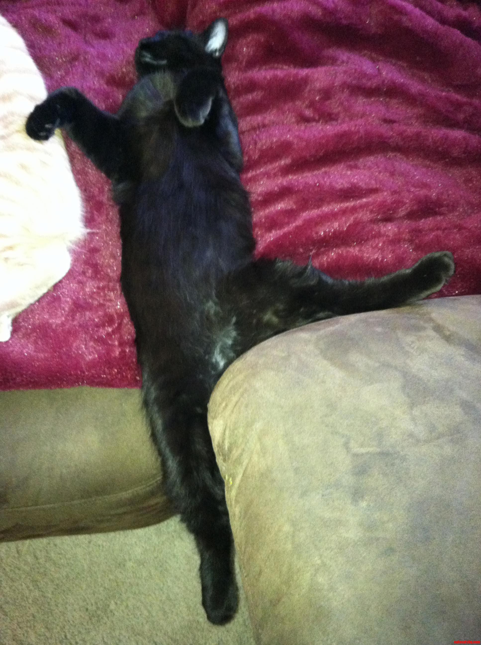 A Kickstand