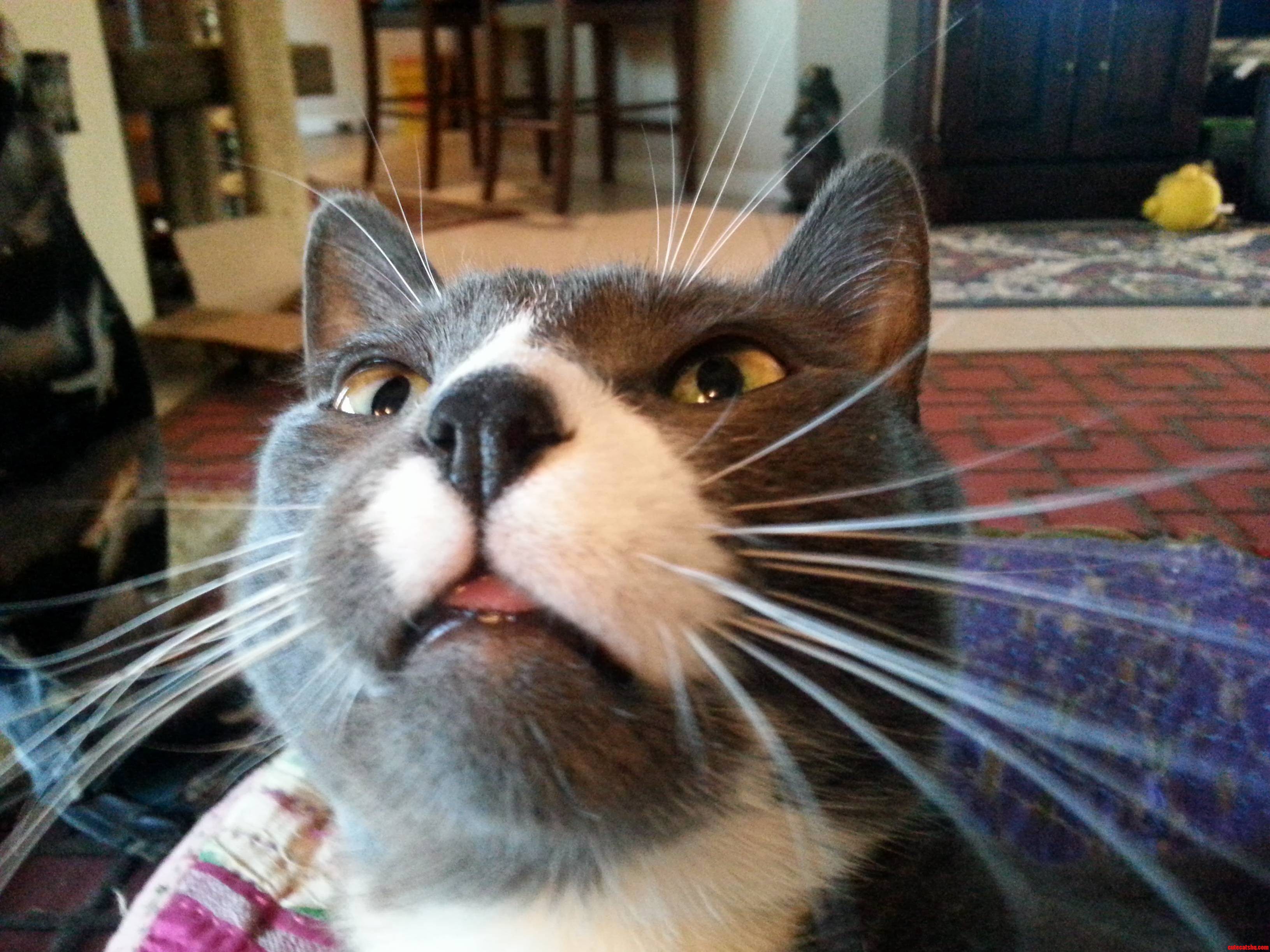After His Nap