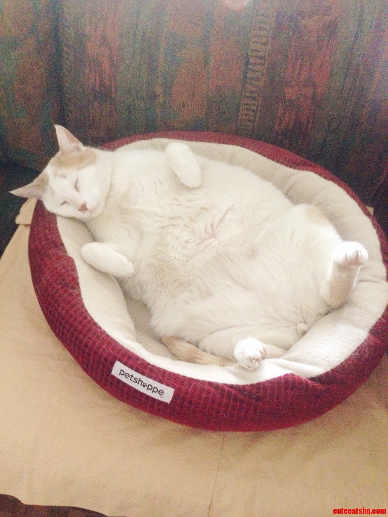 All This Sleeping Is Making Him Tired.