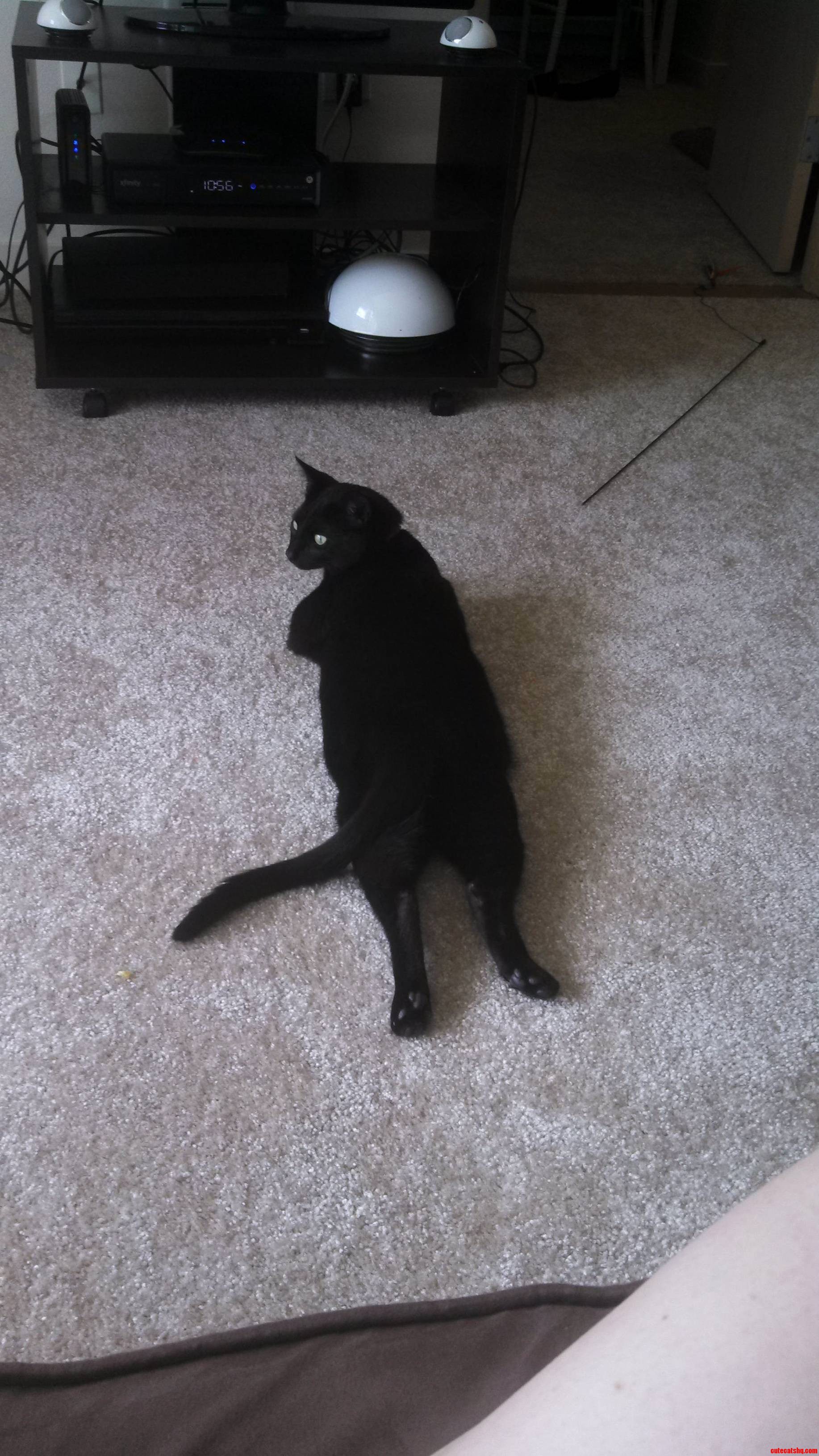 Alot of Leg His Name Is Alot