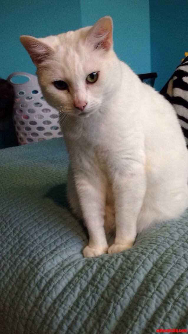 As Old As She Is She Is Still My Gorgeous Girl