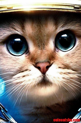 Astronaut Kitteh to Deh Rescue