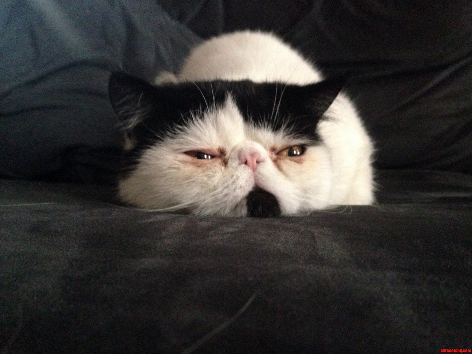 Back from Vacation. He Looks So Excited We Are Back