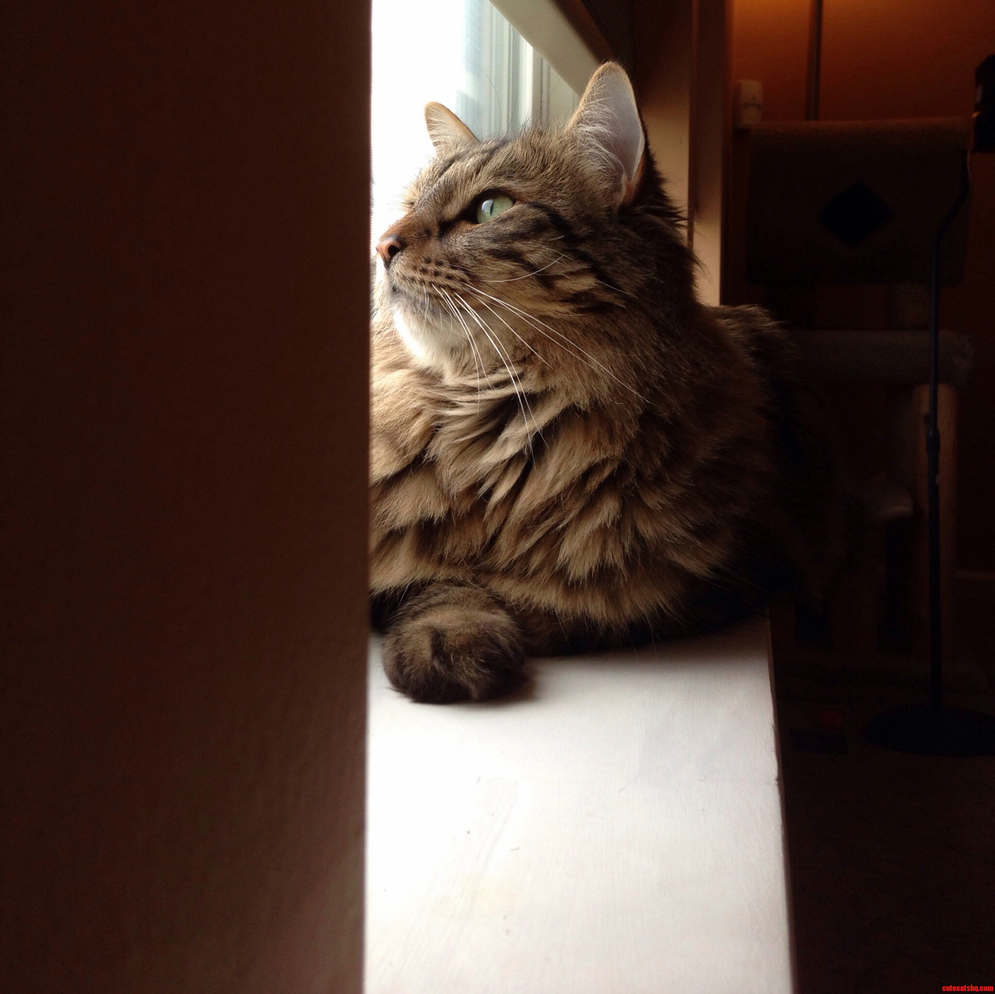 Bird Watching