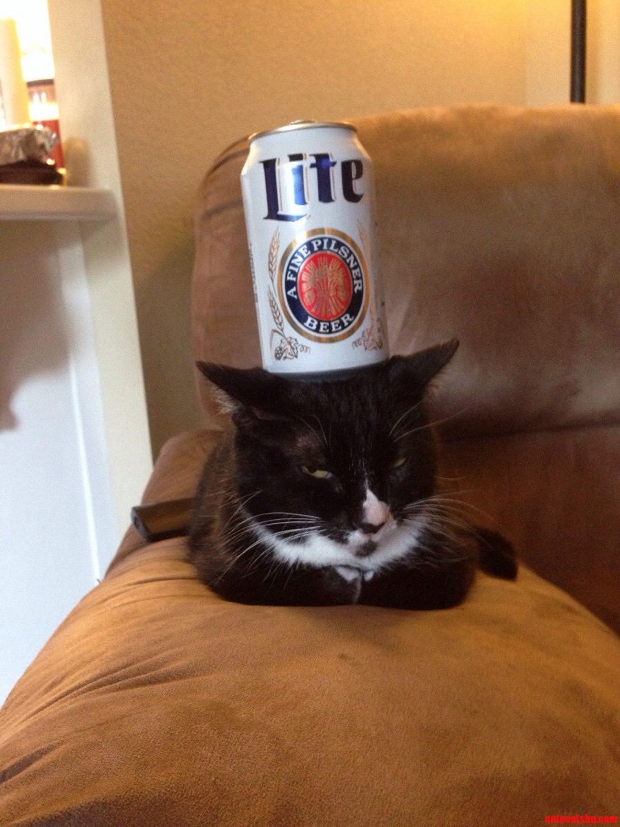Bo Is Clearly Not Impressed.
