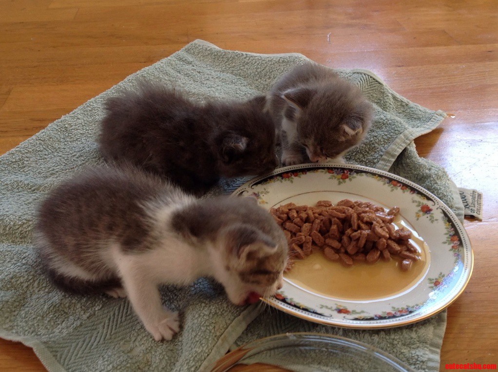 Breakfast Time