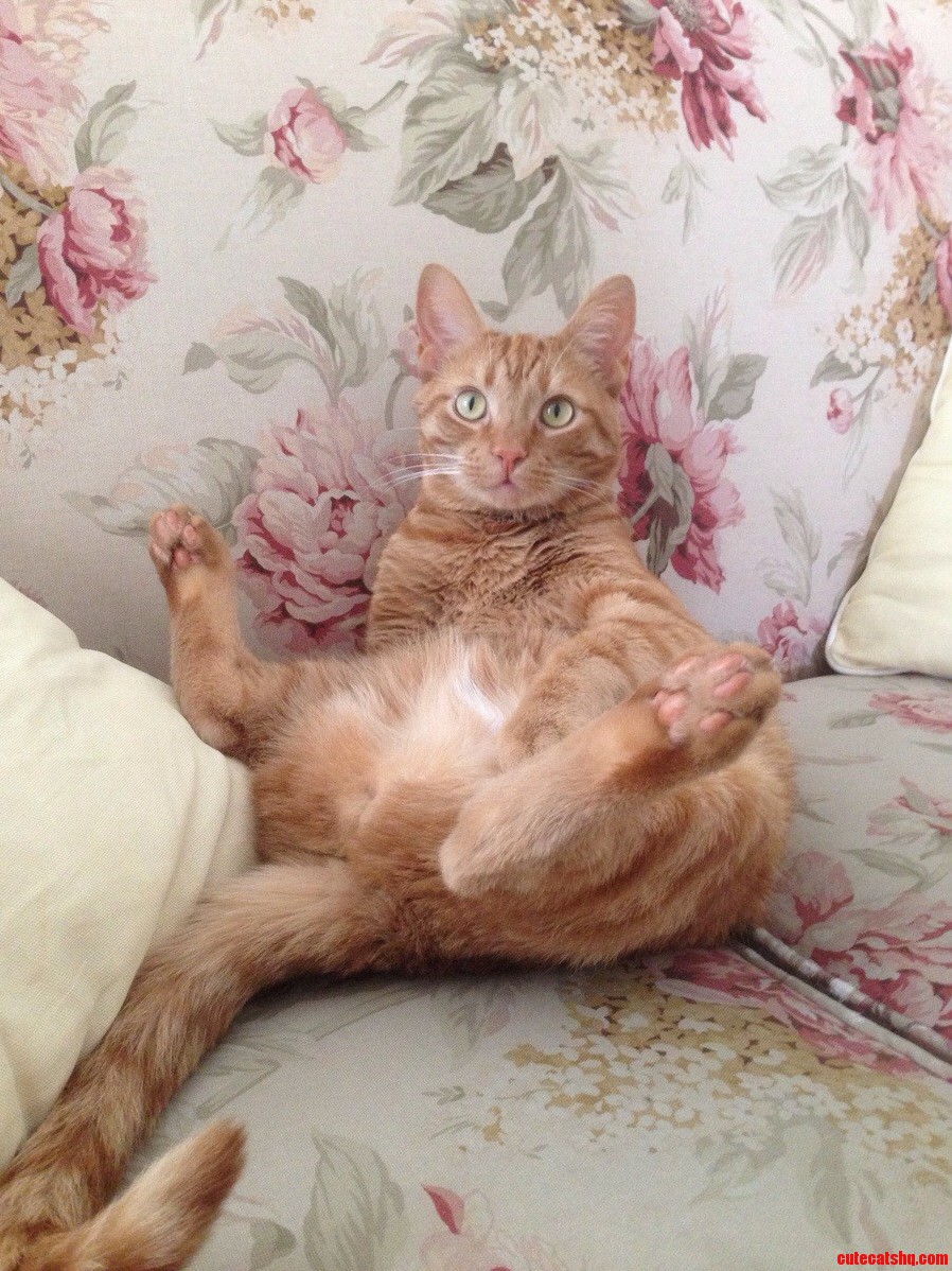 Can I Get a Little Privacy Please