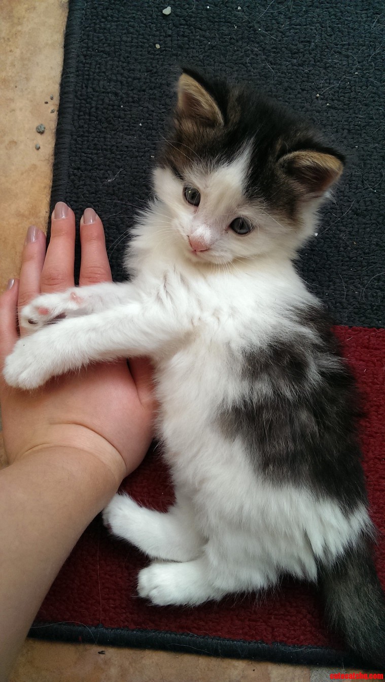Cant Wait for the Next Weeks to Past So I Can Get Him Home
