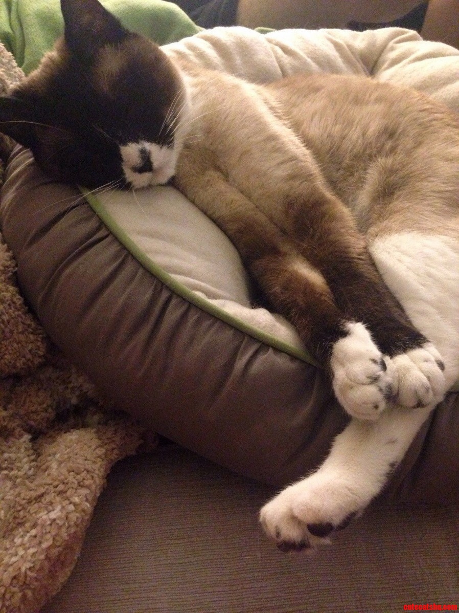 Chandler Is Really Enjoying His Caterday.