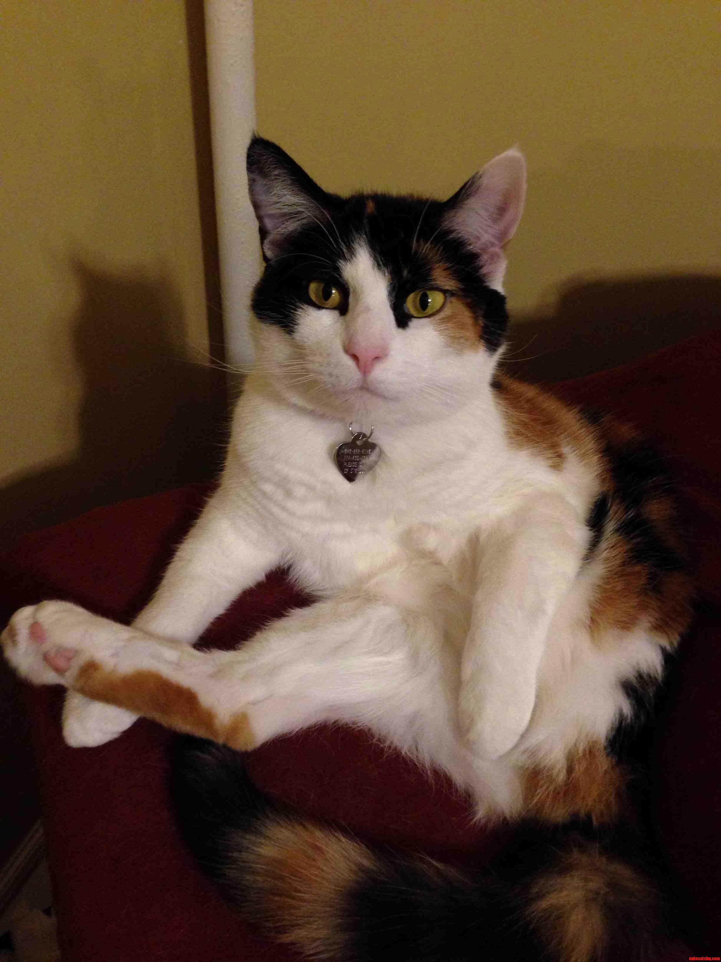 Classy Lady