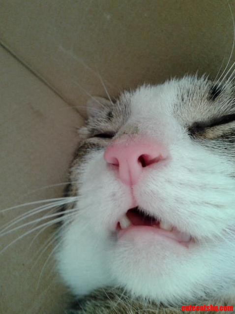 Deep Sleep
