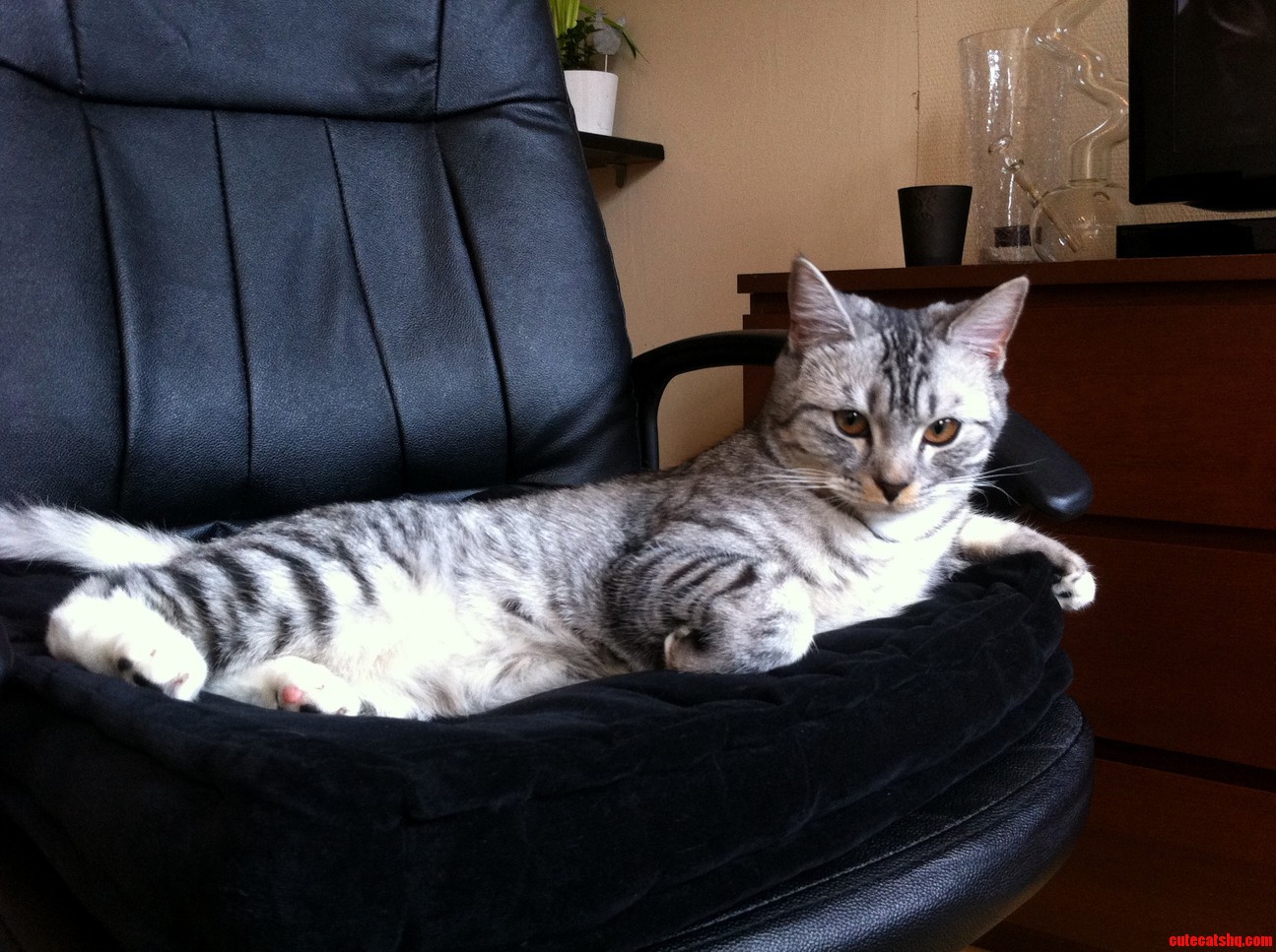 Draw Me Like One of Your French Girls Pls