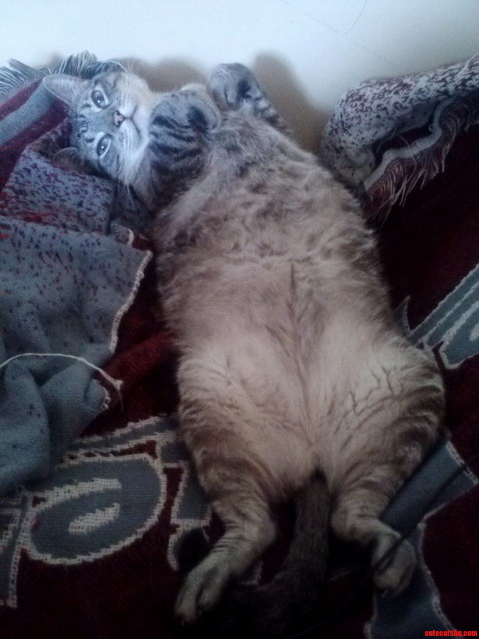 Draw Me Like One of Your French Girls