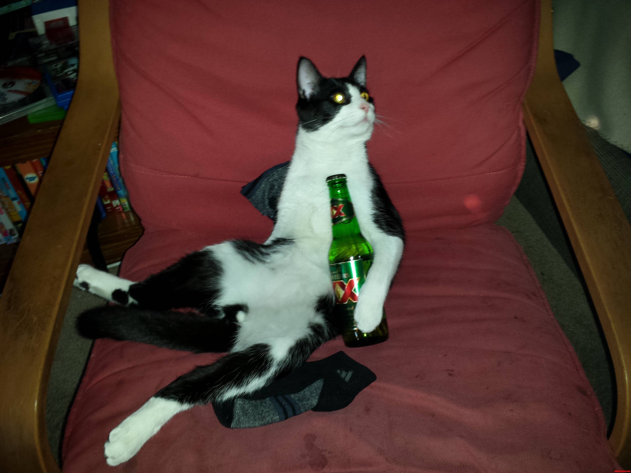 Dusty Is Enjoying a Beer Tonite