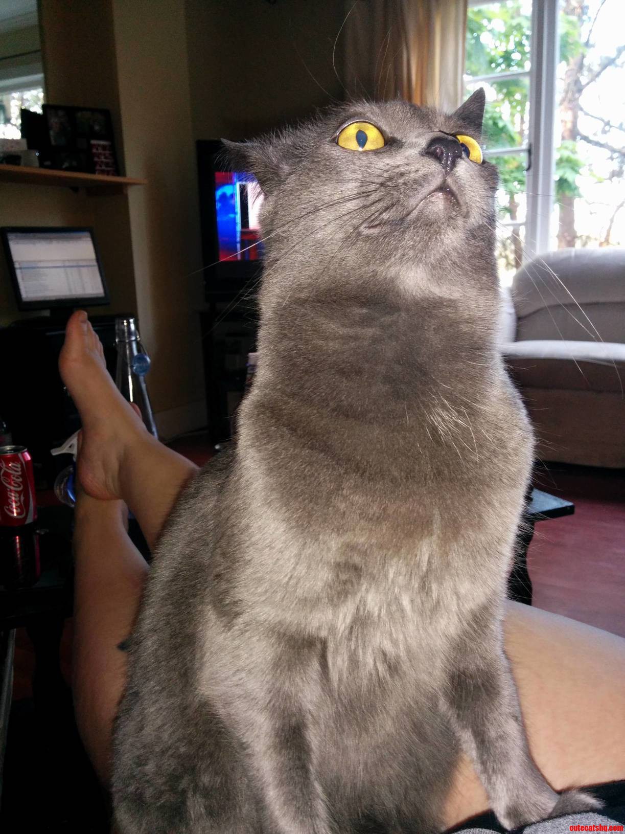 Ermahgerd