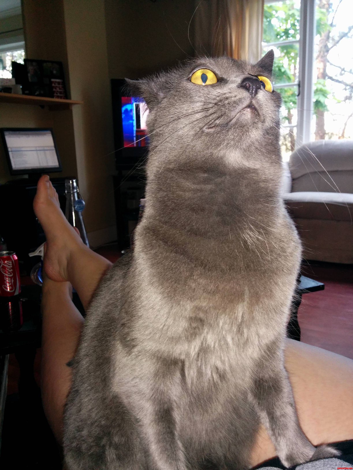 Ermahgerd