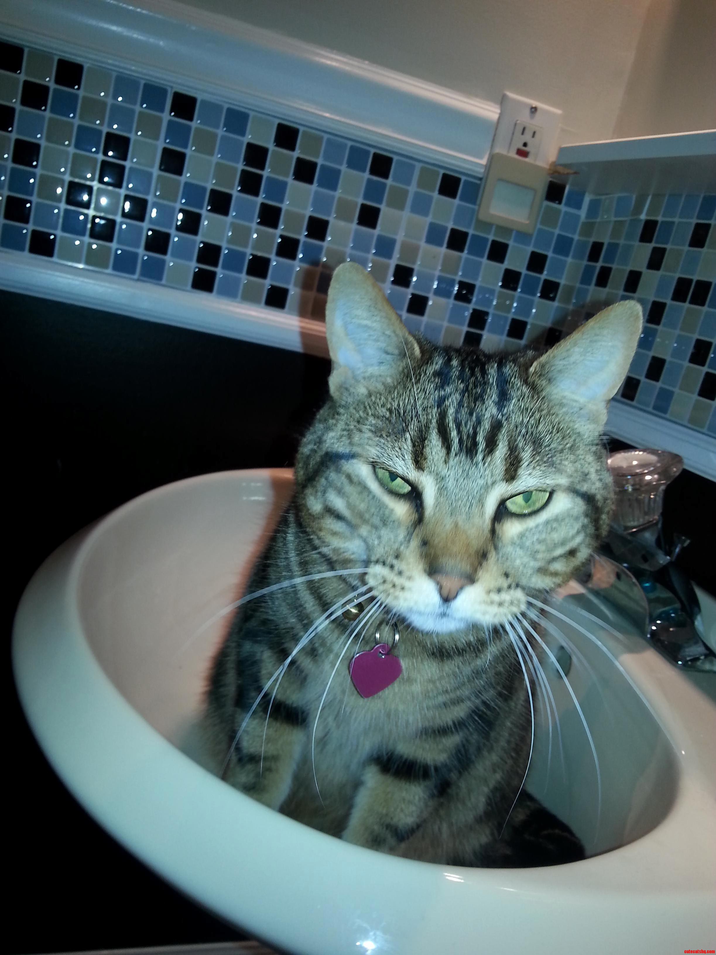 Every Time I Got to the Bathroom This Is What He Does