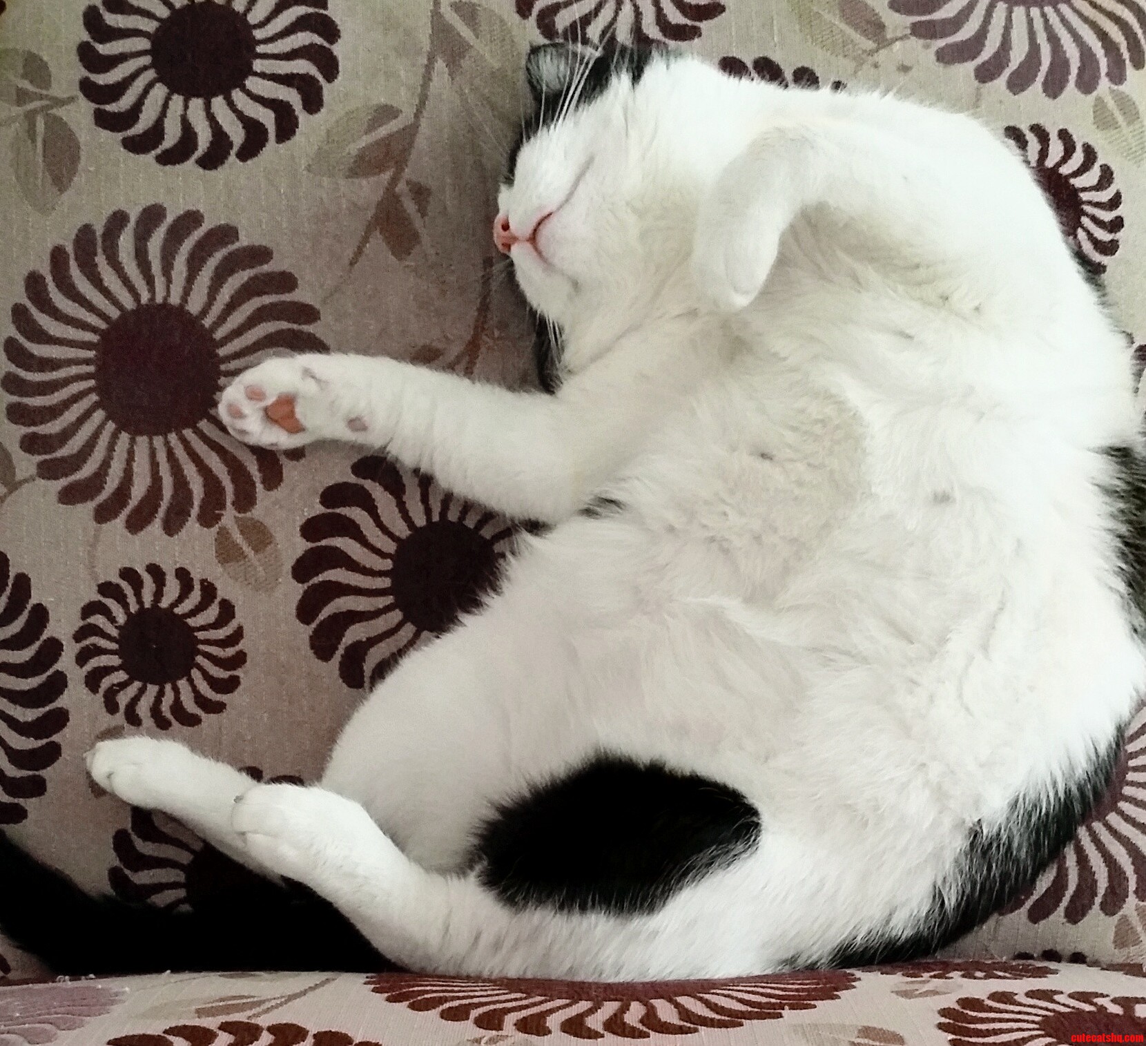 Fat.