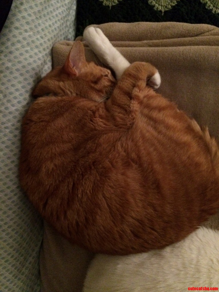 Firefox