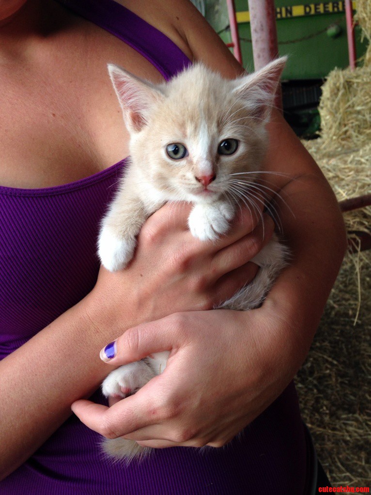Found Yet Another Barn Baby Today