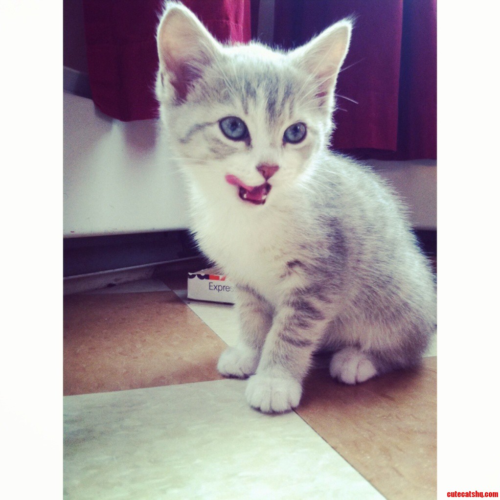 Foxy on Her First Day Home Already Seducing Us.