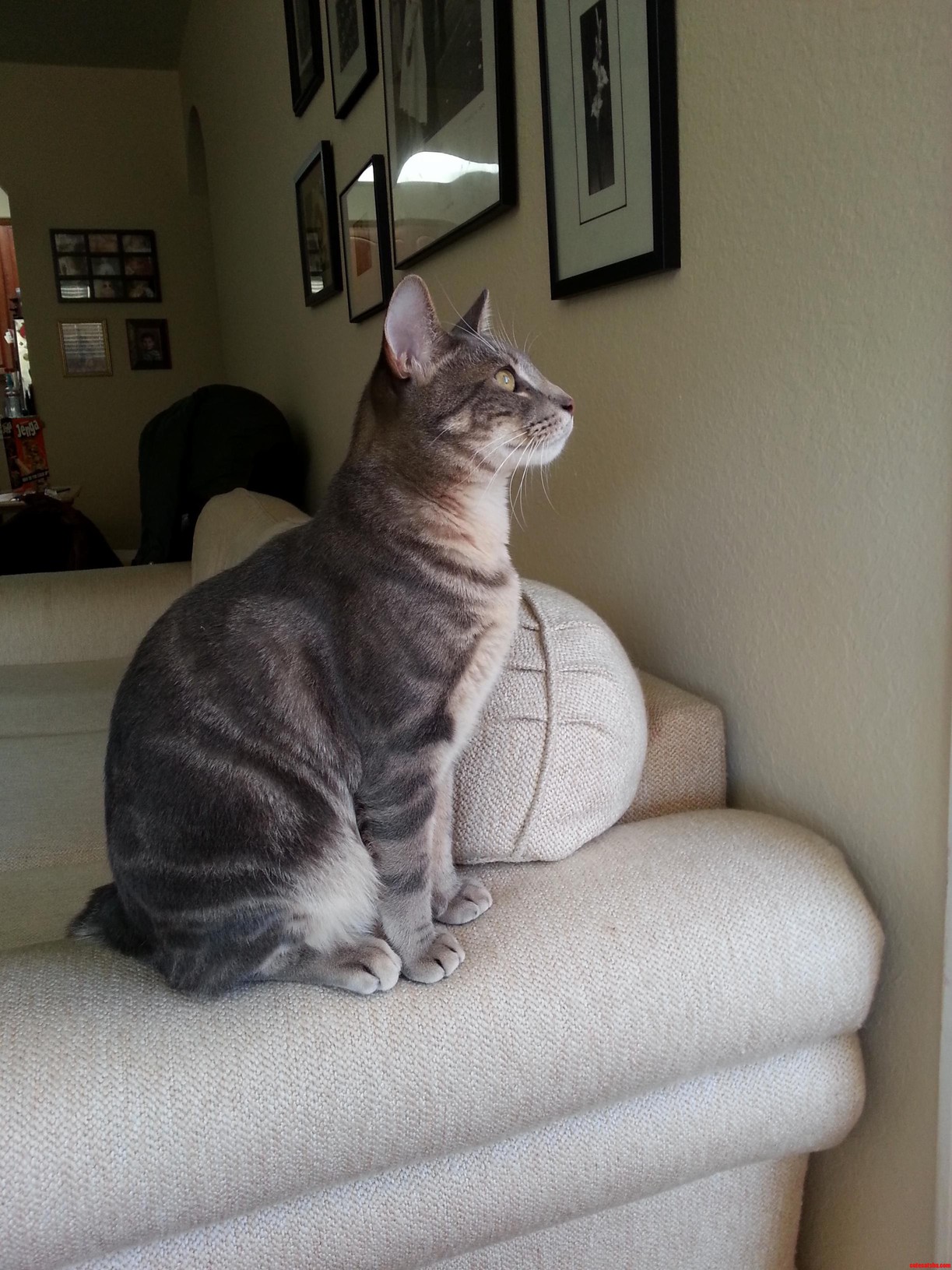 Handsome Boy