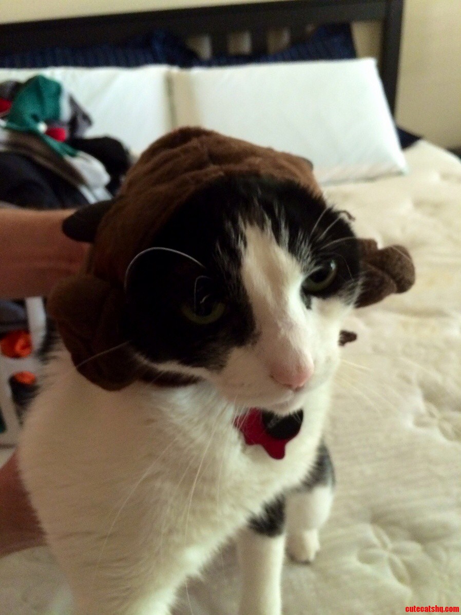 Happy Star Wars Day from Leo-i Mean Leia.